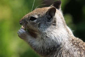 47c755617869c1c647c846ca6e3409b9