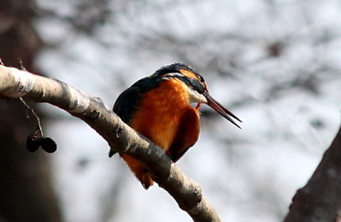 2c2443e6499e44420db2c7ffb26b2bbd