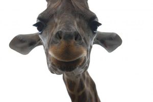 B9728c9e756b8bce5b2fd61678e3f777