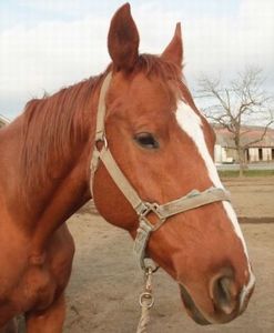 54c5a4b228ad55d1ae3488dd7aac754b