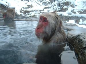 1970021cad0e9a5233e24fd6e03e6f95