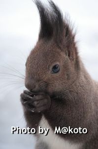 8e37db8db60401c6c263dfeeb755cf32