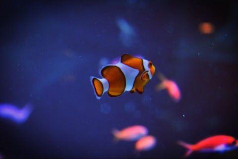 0bc743fabc9d7762032b7ce231fbe963