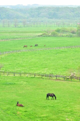 Bcf0e318811cd09eb7644f7dbbb4c1e0