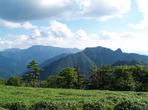 02a1f8825e5acd37c52764bfc302e6ec