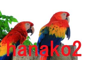 3d7609757e9fb7ebc31244e23b52d598