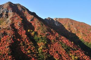 85c2d63547da698388b1fa298cb5737a