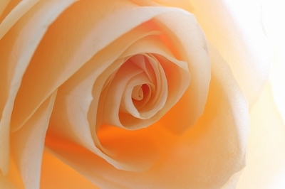 C57d2692ee7c10bcf86f36e8b975b114