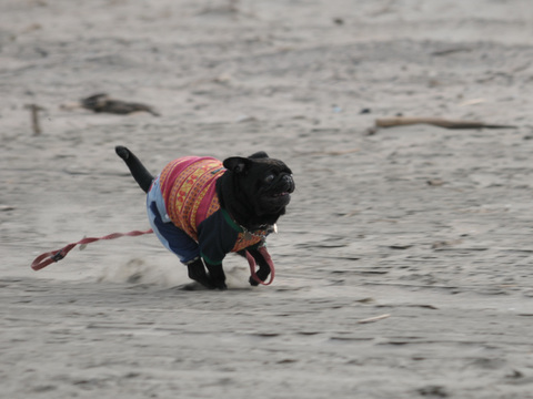 13d3eff651b1f59f61536d6dc977ea03