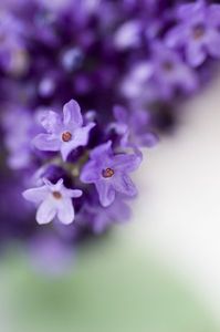 8c51733addd82b3ba51bab335a5414c7