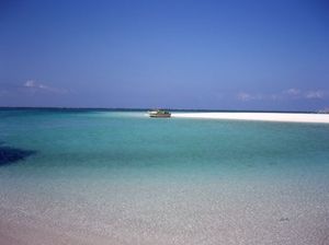 1a72ccee07fd45071876f0c92f55b994