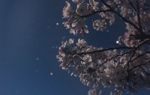 F8bc9f6d9850d7ec213d0344bc9e6cb3