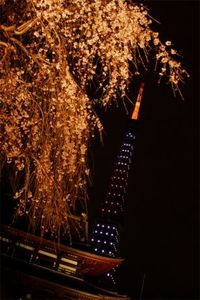 E83052988246a65ec14adcdc42b7309e