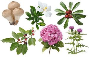 5c8ec70edcc8ca8345edb88b8dc0aed6