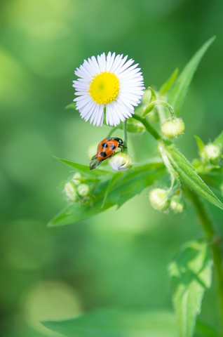 123bb5d6bfbd7e9c6fa50ecfc755d87c