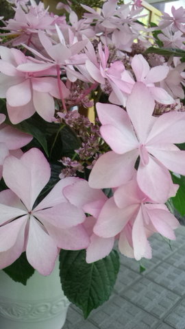 84a0c96cf3325c9065a6951b622cc5d3