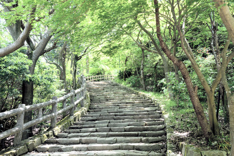 A1a6960748c5d0cfd9b5ffd14d2adfe6