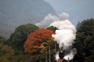 81c83c34c0bd00bb1902d50801e03946