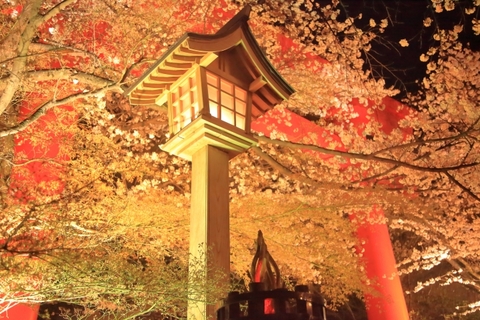 009ce06d2b0b197cdced074ba44ad1b9