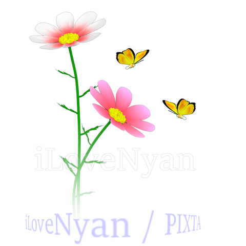 3c16cb6f2100878d4f52334b96d81978