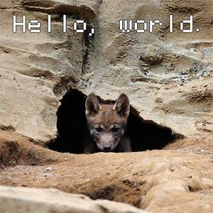 F3e2316620af51f2b8b2418eb7ccb582