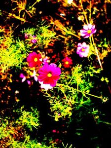 Ab1b0128789e549868c9032c9b16c61e