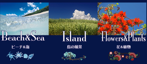 09aa07e51670e914ff90cccc82a81101