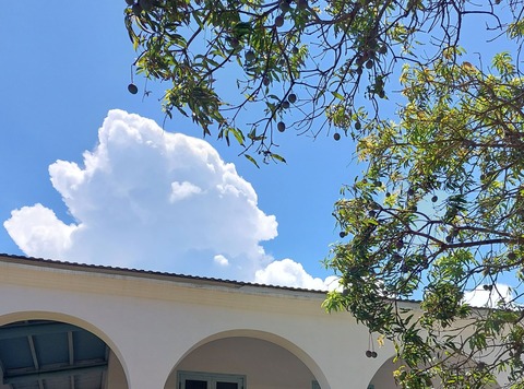 Bb27f4fb34256538aa1222b5dffb8958