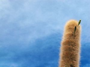 4d47296680925bf35959b7e1e7738b1f