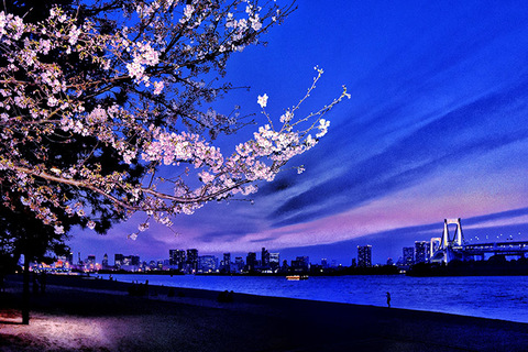 3bce13bf2c7ad293efec0cac8b96a62c