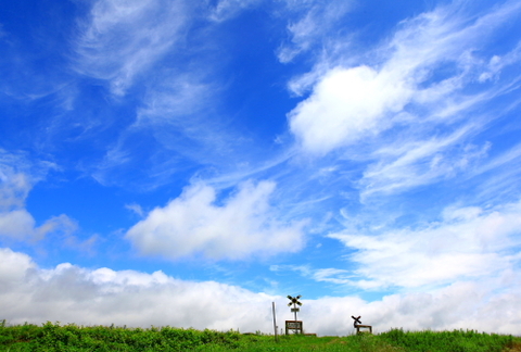 A09978ac945c4421e5510b2538a9921d