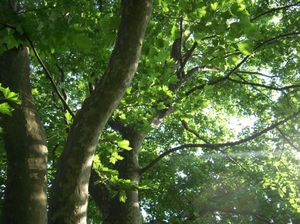 D8d6a935d7bb28613e23ef4de2f288eb