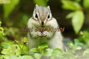 43c529c5019d3429132c40010f2169c8