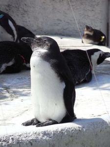 4cc0df5eb373806061ca3b622ccdfe99