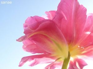 6b4a08411a472c0eb91a97119f08a508