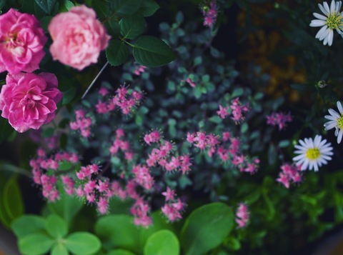 69ab40e9964183480515c94015d1a94f