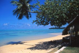 Db29c6c67a244ce9708b45e1a382771f