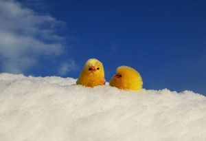 Fa15777c53ecc6c7a7756b8297d25148