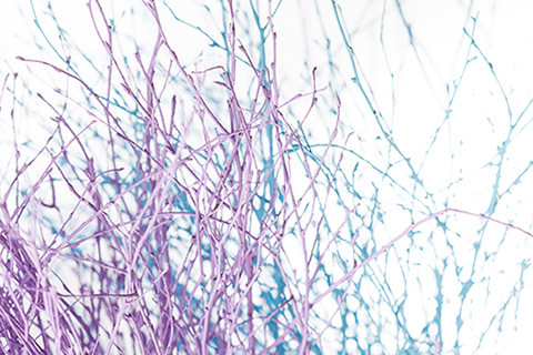 0291887842d743e6b396a84e95b2b612