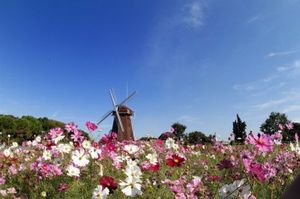 49878207af7abd51f70a1d175fc0d373