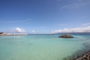 92d2493254d24d1ed65834d429719b63