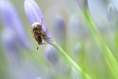 B2bb4df4fe93ed9bafb10db6d3598aca