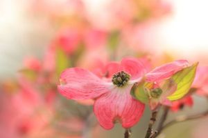 Af1a8618e940747437d1f0f08c2c6de3