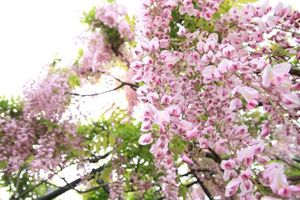 D00f2628075d079f8f415d0cca7a5295