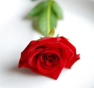 4e13b4f76956e72f58629f04ef963472