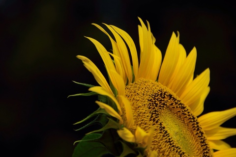 7f53d75d2b51d798d63c307d168875e2