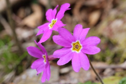 Ce3423e45b628201adff83b81e8a1570