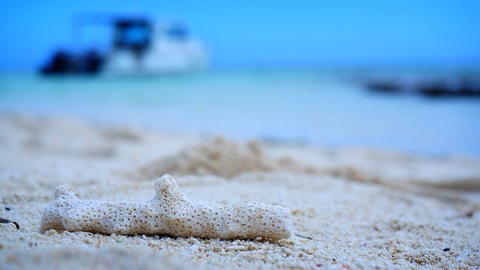 2bead82891a63ee65906b0ab3d05665f