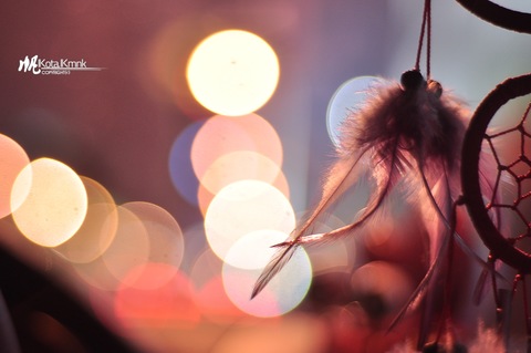 1c3ed931980bcfaa129b30636439bca0