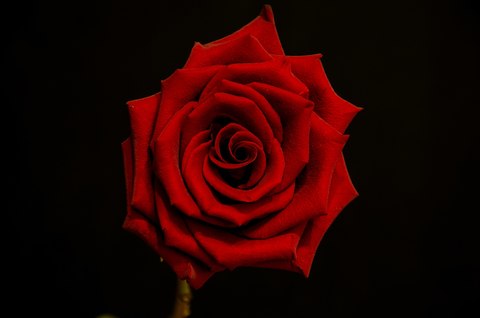 3b590508e881246e16d87b46c71f2ce4